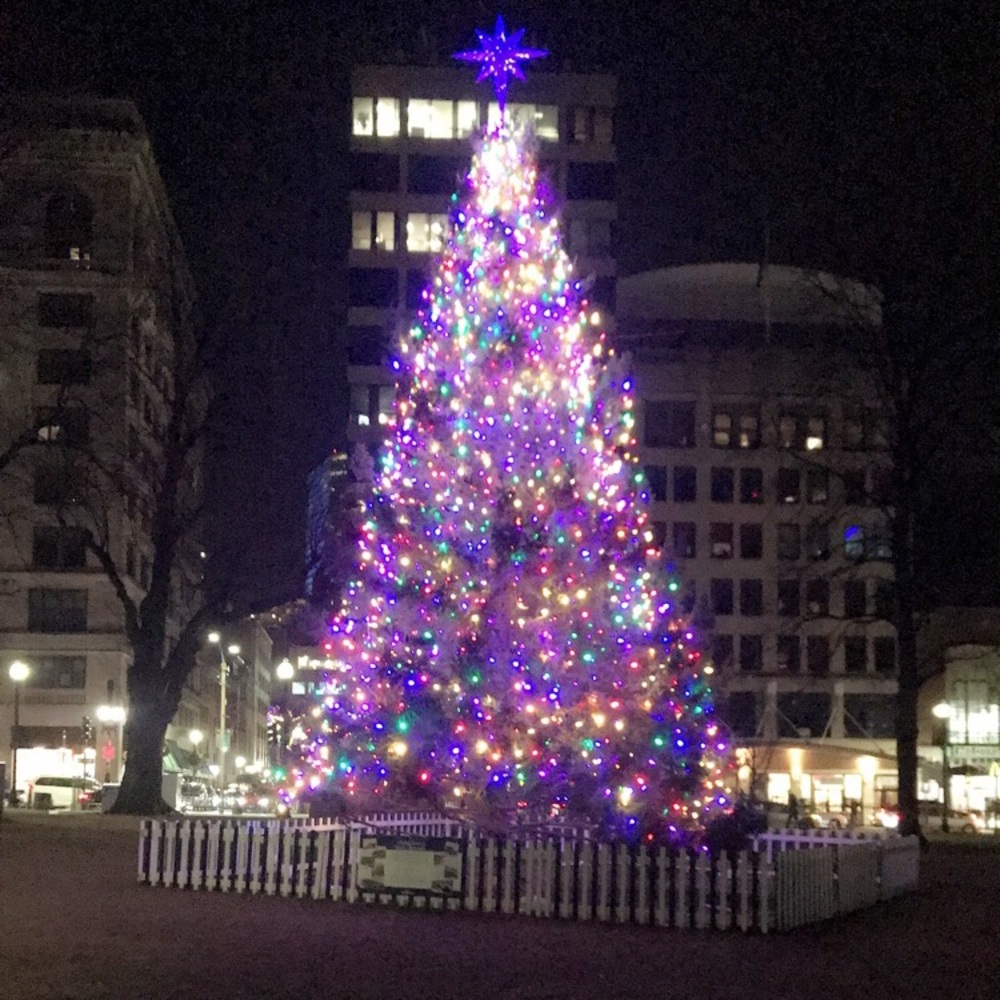 Meet your Posher, Jess